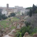 Palatin: Blick aufs Forum Romanum Richtung Collosseum