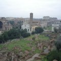 Palatin: Blick aufs Forum Romanum Richtung Collosseum