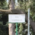 Via Garibaldi führt hoch auf den Gianicolo