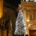 Weihnachtsbaum auf der Piazza del Campidoglio (Kapitol)