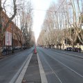 Viale delle Milizie