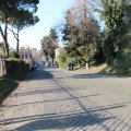 Via Appia Antica (162)