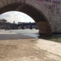Tiber an der Tiberinsel