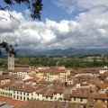Blick Richtung Norden vom Torre Guinigi auf Lucca. Mit Basilica di San Frediano und schwer zu erkennen die Piazza dellAnfiteatro.