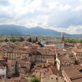 Blick Richtung Südwest vom Torre Guinigi auf Lucca. Mit Duomo di San Martino (links) und S. Giovanni.