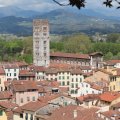 Blick Richtung Norden vom Torre Guinigi auf Lucca. Mit Basilica di San Frediano.