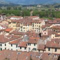 Blick Richtung Norden vom Torre Guinigi auf Lucca. Mt deriPiazza dellAnfiteatro.