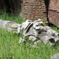 Säulenreste auf dem Palatino