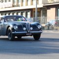 2014-05-18 MilleMiglia Bologna 155