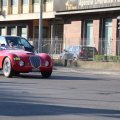2014-05-18 MilleMiglia Bologna 165