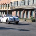 2014-05-18 MilleMiglia Bologna 180