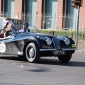 2014-05-18 MilleMiglia Bologna 280