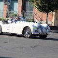 2014-05-18 MilleMiglia Bologna 286