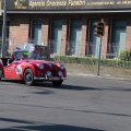 2014-05-18 MilleMiglia Bologna 296