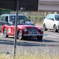 2014-05-18 MilleMiglia Bologna 343