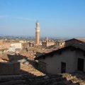 Blick vom Dach des Duomo di Siena auf die Innenstadt Sienas mit Torre del Mangia