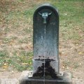 Brunnen mit Stierkopf im Parco Archeologico Torri Palatine