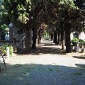 Eindrücke auf dem Cimitero Monumentale Verano (Viale dei Platani)