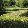 Gartenanlage des Varignana Palace Resort & SPA,Im Labyrinth