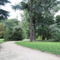 Im Parco Comunale Damioli