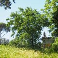 Spitze des Arco Romano - Arco di Settimio Severo - in der Villa Borghese