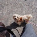 Rom_2026_004