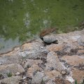 Rom_2026_026