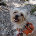 Sistiana_2026_02
