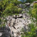 Sistiana_2026_07