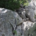 Sistiana_2026_08