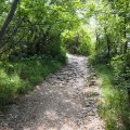 Sistiana_2026_11