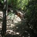 Sistiana_2026_14
