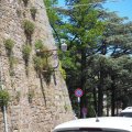 Trieste_2026_20