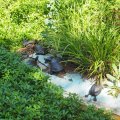 Rom_2025_008