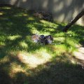 Rom_2025_015