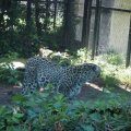 Rom_2025_024