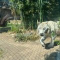 Rom_2025_054