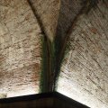 Lucca_2025_12