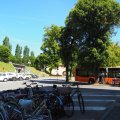 Lucca_2025_14