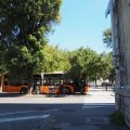 Lucca_2025_15