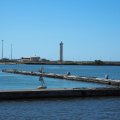 Viareggio_2025_06