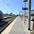 Viareggio_2025_13
