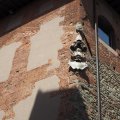 Pistoia_2025_15