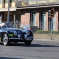 2014-05-18 MilleMiglia Bologna 207