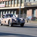 2014-05-18 MilleMiglia Bologna 211