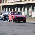 2014-05-18 MilleMiglia Bologna 219