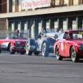 2014-05-18 MilleMiglia Bologna 220