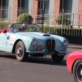 2014-05-18 MilleMiglia Bologna 259