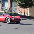 2014-05-18 MilleMiglia Bologna 284