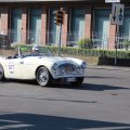 2014-05-18 MilleMiglia Bologna 295